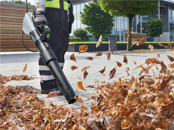 bladblazer bladblazer